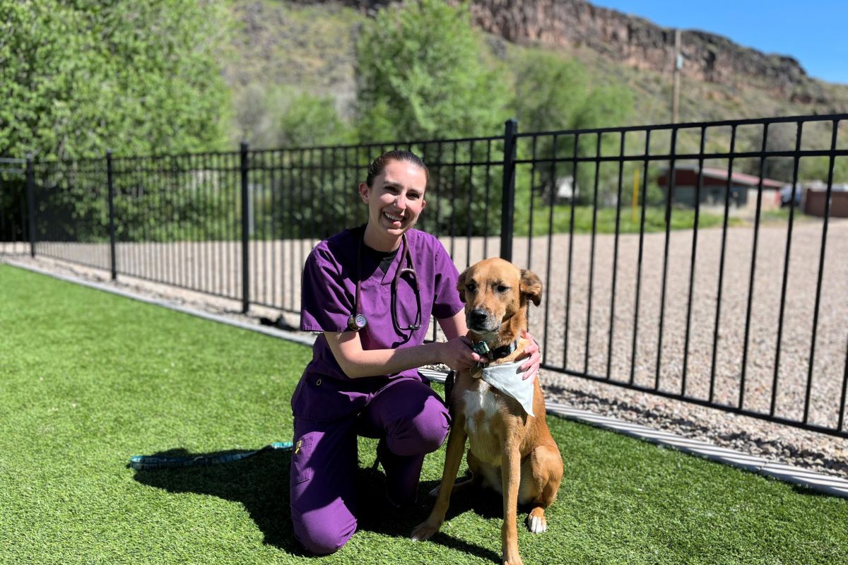 a person wearing scrubs sitting with a dog
